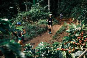 BIB: 
                            <button type="button" onclick="openModal(25855881)" class="btn btn-primary btn-sm float-right btn-popup" data-toggle="modal" data-target=".modal-high-quality">
                        <i class="fas fa-shopping-cart"></i> Add to Cart
                    </button>
                                            <button type="button" onclick="isThisMe(25855881, true)" class="btn btn-success btn-sm float-right btn-popup btn-isme hidden" data-toggle="tooltip" data-placement="bottom" title="นี่คือรูปของคุณใช่ไหม คลิกที่นี่เพื่อเอาเข้าอัลบั้ม">
                        <i class="fas fa-plus"></i> Add to album
                    </button>
                    <button type="button" onclick="isThisMe(25855881, false)" class="btn btn-warning btn-sm float-right btn-popup btn-isnotme hidden">
                        <i class="fas fa-ban"></i> Remove from album
                    </button>